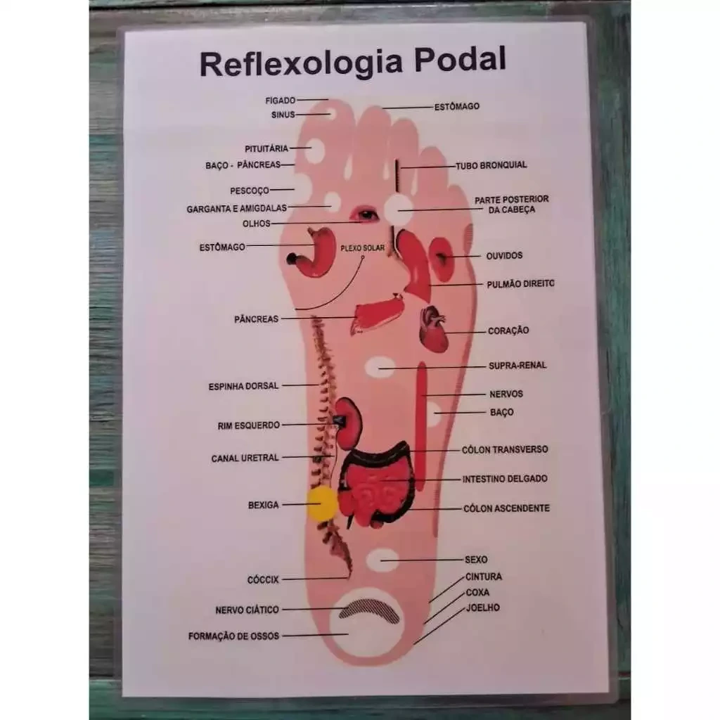 Sessão de Reflexologia Podal
